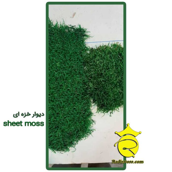 دیوار خزه ای sheet moss